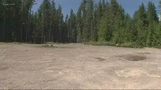 Couple killed in homicide near Estacada