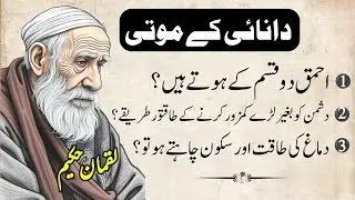 Hikmat Ki Batain|Hakeem Luqman Quotes In Urdu|Wisdom Quotes in Urdu|Urdu Aqwalezareen|Luqman Hakeem
