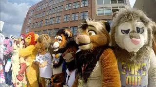 Anthrocon 2022 - Lion Photoshoot Meetup