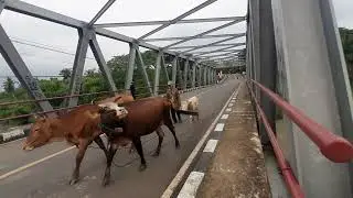 mar sore gaes jadi sore inih babah jiad kesukabumi