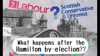 What happens after the Hamilton by election??