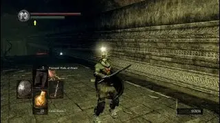 Get sunlight maggot helmet /Open shortcut tutorial DARK SOULS&trade;: REMASTERED