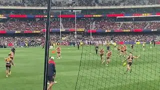 Collingwood running out at Adelaide oval round 7 2023