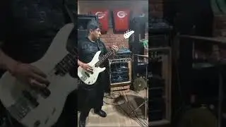 Si no te hubieras ido.     grupo Karisma musical              Charly, Pedro,       Lander y Oskr