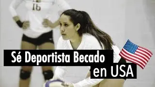 Lo que necesitas para ser Deportista Becado en USA