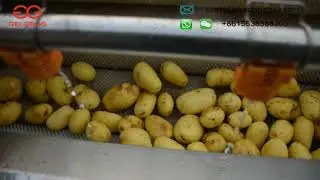 Brush Type Root Vegetable Washer and Peeler/Potato Washing and Peeling Machine