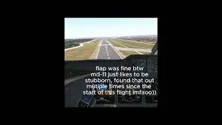 MSFS2020 / FIRST LANDING IN THE TFDI MD-11!! / TFDI MD-11 Landing into LEMD. #shorts #aviation