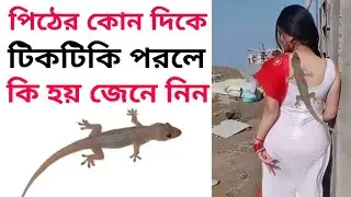 শরীরের কোথায় টিকটিকি পরলে কি হয়,পিঠের কোন দিকে টিকটিকি পরলে কি হয় || pither kon dike tiktiki parle