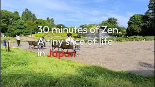 Life in Japan. Meditational experience at Setagaya Park. Immersive. No edits.