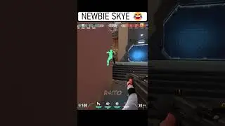 When a Newbie Uses Skye Dog for the First Time 😭 #valorant #valorantclips #valorantfunny