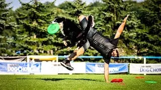 Paco Lobo & Cleo freestyle 2nd round Dogfrisbee EC 2016