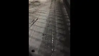 Long rip repair of steel cord belt ST2000