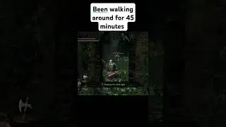 We're idiots #darksouls #gaming #coop | Dark Souls Seamless Co-op mod