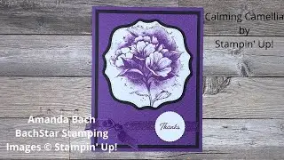 January Paper Pumpkin Alternatives, Calming Camellia, and more!