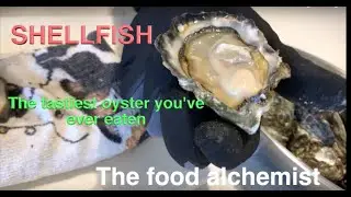 The food alchemist ( Seafood ) Oysters & abalone, cooking for special occasions
