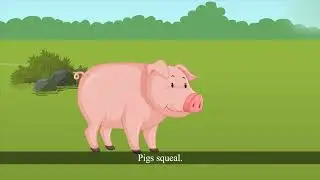 I Speak, I Say, I Talk || Chapter-1 || English reader-3 || Class-3