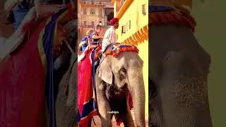On the Day 1 of virtual india tour we're exploring Jaipur.  #Jaipur #explore #travel #traveler