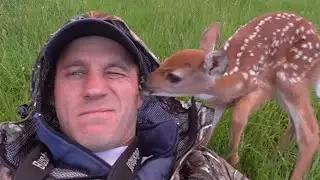 Animals That Asked People for Help | Random Acts of Kindness #5