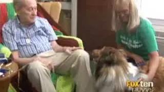 Pets visiting nursing homes