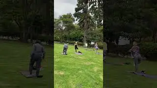 Runyon Canyon Yoga - In The Park
