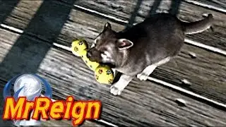 Days Gone - What To Do With The Squeaky Toy