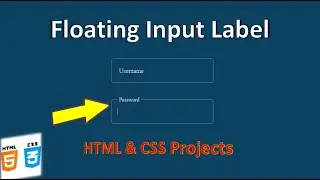 Floating input Label Design Using HTML and CSS | Html & CSS Projects.