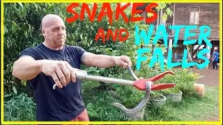 SNAKES AND WATERFALLS | PHU LANGKA NP