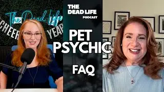 Pet Psychic: Where do they go?