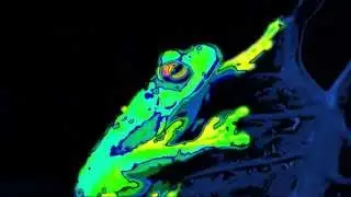 Predator VISION MODE