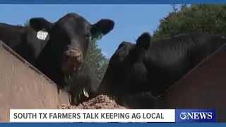 Growing concern for U.S. cattle ranchers