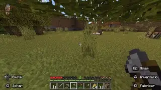 Minecraft_20250101220812