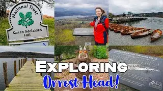 Orrest Head | Queen Adelaide's Hill | Lake Windermere | The Lake District