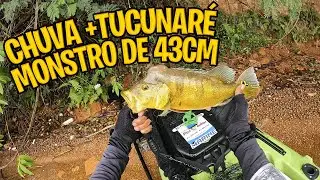 EXPLORANDO NOVOS PONTOS NO LAGO PARANO&Aacute; E PEGANDO TUCUNAR&Eacute; MONSTRO NA ULTRALIGHT!