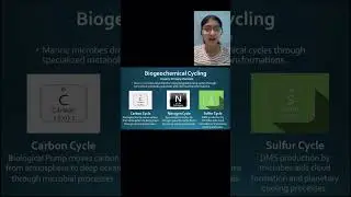 Video Presentation on Marine Microbial Ecology