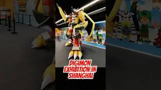 Выставка Digimon в Шанхае #digimon