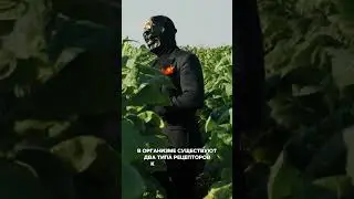 Как бросить курить #мориарти #ютуб
