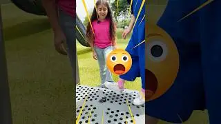 Why Spiders are Important  Video for Kids Don't Kill Spiders
