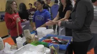 P-CEP forensics