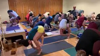Tittibasana