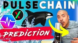 PULSECHAIN LAUNCH PREDICTION!!! & V3 Testnet is here !!!!