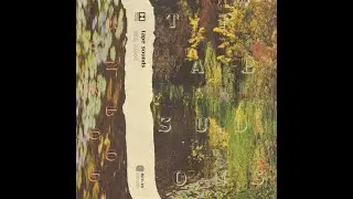 Tape Sounds - Sun Blood (FULL CASSETTE ALBUM - 2017 - Big Ear Tapes - Lo-Fi/Experimental)