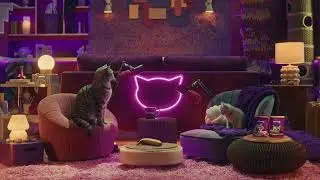 Cat diet: can kittens eat human food? | WHISKAS&reg; Purrcast