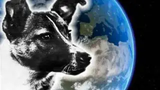 Лайка - Laika