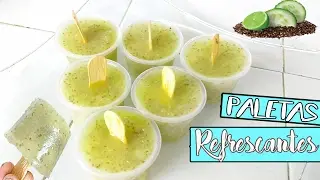 Paletas de HIELO  naturales para vender (pepino , chía , limón )