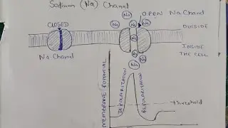 Mosquito Repellent Transfluthrin related health problems in adults and children.
