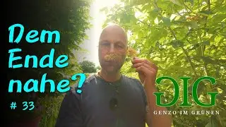 Die Blütezeit neigt sich dem Ende – starke Regenfälle haben Pflanzenschäden verursacht