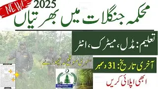 🌲New Govt Forest Department Jobs 2024 | Mehkma Janglat Forestry Jobs Guard| Latest New Jobs 2024