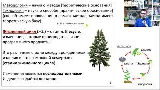 Понятия и определения (программотехника - программная инженерия - software engineering)