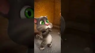 Talking Tom Cat New Video Best Funny Android GamePlay #7417