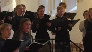 2019 Musikstuderendes Kor i Vor Frue Kirke, Aarhus -  &ldquo;Danmark nu blunder&rdquo; / 